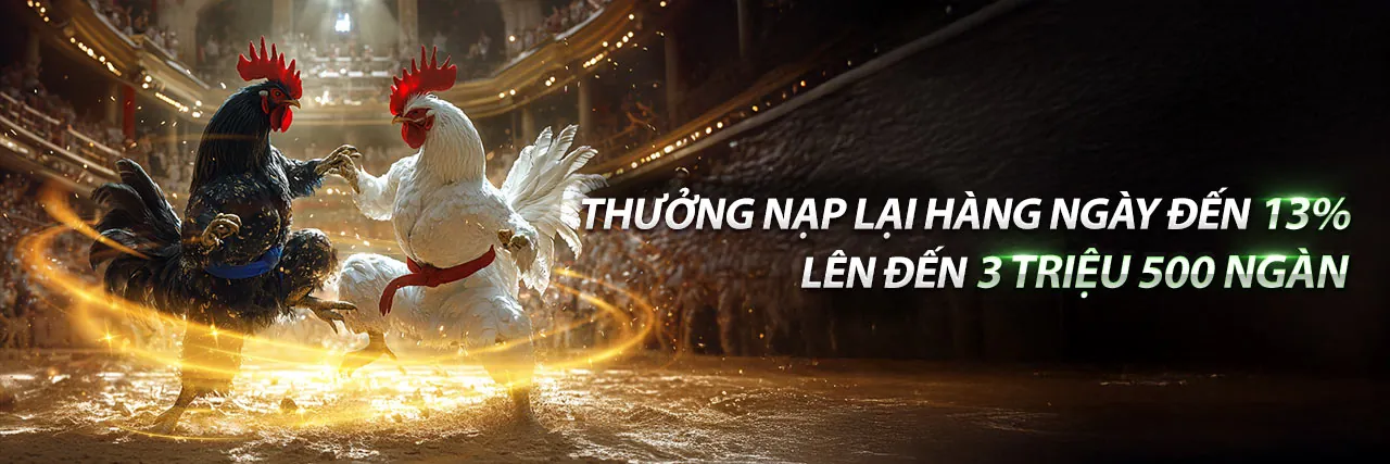 Đá gà quốc tế